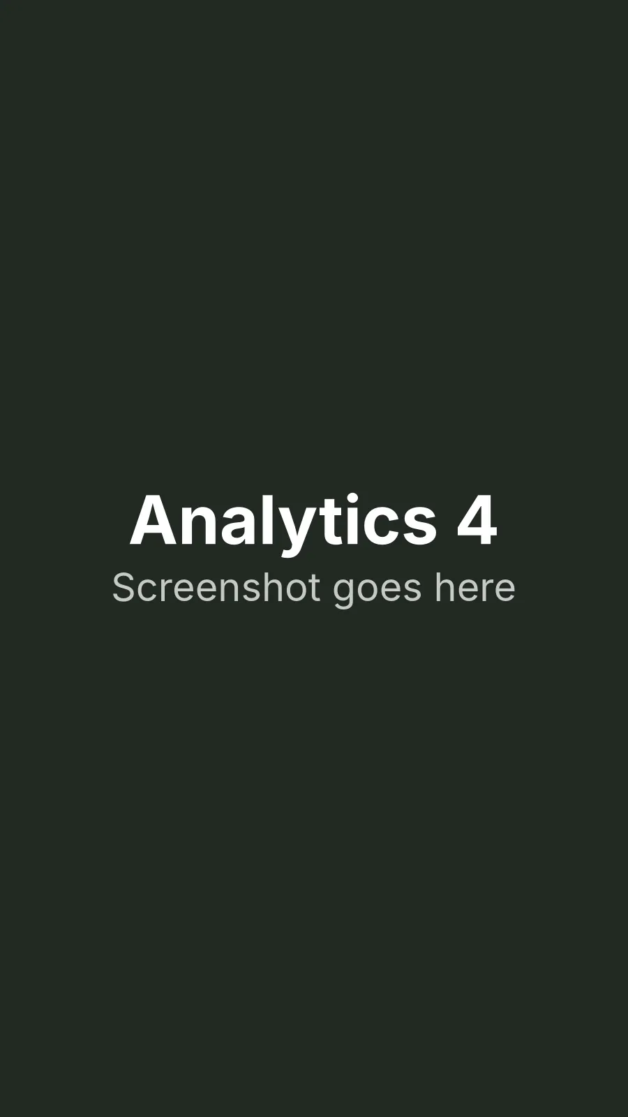 Analytics screenshot 4